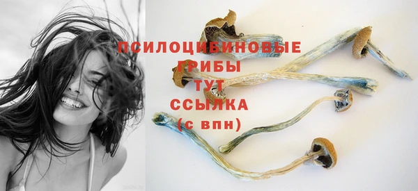 дживик Куйбышев