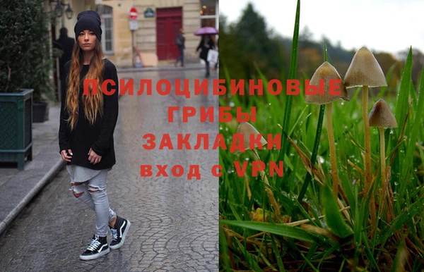 дживик Куйбышев