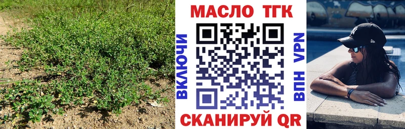 Купить где  Нюрба  ТГК THC oil 