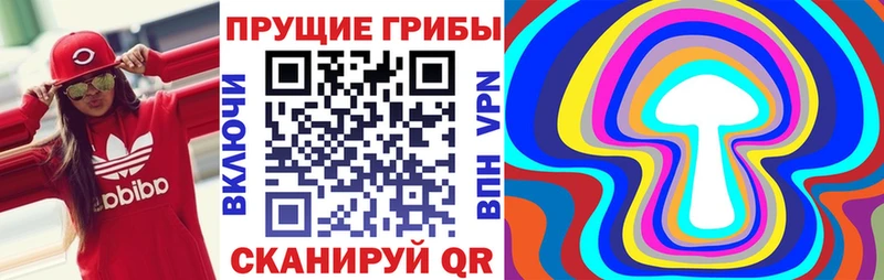 Купить закладки  Нюрба  Псилоцибиновые грибы GOLDEN TEACHER 
